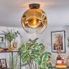 Ripoll ceiling light, globe light gold, clear, 1-light source