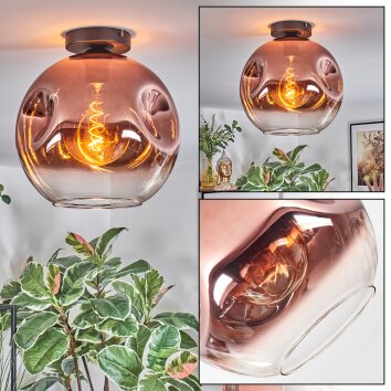Ripoll ceiling light, globe light clear, coppery, 1-light source