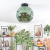 Ripoll ceiling light, globe light green, 1-light source