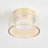 Folar ceiling light LED gold, 1-light source