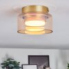 Folar ceiling light LED gold, 1-light source