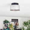 Folar ceiling light LED black, 1-light source