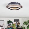 Lidor ceiling light LED gold, black, 1-light source