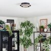 Lidor ceiling light LED gold, black, 1-light source