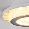 Lidor ceiling light LED grey, white, 1-light source