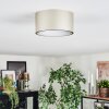 Falor ceiling light LED Champagne, 1-light source