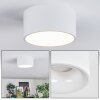 Falor ceiling light LED white, 1-light source