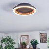 Macos ceiling light LED Wood like finish, black, 1-light source