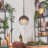 Koyoto hanging light, globe light, pendant light clear, Smoke-coloured, 1-light source