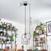 Koyoto hanging light, globe light, pendant light clear, 1-light source