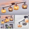 Ripoll ceiling light, globe light Amber, Smoke-coloured, 4-light sources