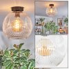 Ripoll ceiling light, globe light clear, 1-light source