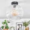 Ripoll ceiling light, globe light clear, 1-light source