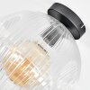Ripoll ceiling light, globe light clear, 1-light source