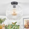 Ripoll ceiling light, globe light clear, 1-light source