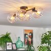Koyoto ceiling light, globe light clear, 4-light sources