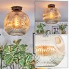 Ripoll ceiling light, globe light Amber, clear, 1-light source