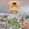 Ripoll ceiling light, globe light Amber, clear, 1-light source