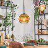 Koyoto hanging light, globe light, pendant light 20 cm gold, clear, 1-light source