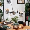 Gastor hanging light, globe light, pendant light Amber, clear, Smoke-coloured, 8-light sources