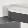 Fanek outdoor wall light, Up & Down Light, wall light LED anthracite, 2-light sources