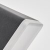 Fanel outdoor wall light, wall light, wall spotlight LED anthracite, 1-light source