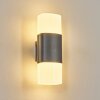 Felor outdoor wall light, Up & Down Light, wall light LED anthracite, 2-light sources