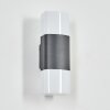 Felor outdoor wall light, Up & Down Light, wall light LED anthracite, 2-light sources