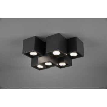 Trio FERNANDO Ceiling Light black, 6-light sources