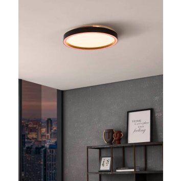 Eglo MONTEMORELOS-Z Ceiling Light LED black, 1-light source, Colour changer