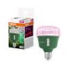 Osram lights E27 20 Watt 650 Lumen