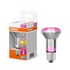 Osram lights E27 LED 7.5 Watt warm white 140 Lumen