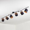 Alsen ceiling light, ceiling spotlight black, 6-light sources