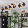 Alsen ceiling light, ceiling spotlight black, 6-light sources