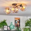 Koyoto ceiling light, globe light Amber, clear, Smoke-coloured, 4-light sources