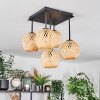 Basto ceiling light, globe light Ecru, 5-light sources