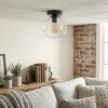 Ripoll ceiling light, globe light clear, 1-light source