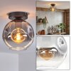 Ripoll ceiling light, globe light clear, Smoke-coloured, 1-light source