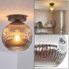 Ripoll ceiling light, globe light Smoke-coloured, 1-light source