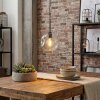 Ripoll hanging light, globe light, pendant light clear, 1-light source