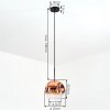 Ripoll hanging light, globe light, pendant light clear, coppery, 1-light source