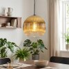 Koyoto hanging light, globe light, pendant light gold, clear, 1-light source