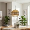 Koyoto hanging light, globe light, pendant light gold, clear, 1-light source