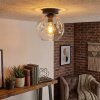 Ripoll ceiling light, globe light clear, 1-light source