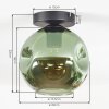 Ripoll ceiling light, globe light green, 1-light source