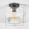 Ripoll ceiling light, globe light clear, 1-light source