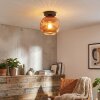 Ripoll ceiling light, globe light coppery, 1-light source