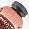 Ripoll ceiling light, globe light coppery, 1-light source