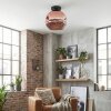Ripoll ceiling light, globe light coppery, 1-light source