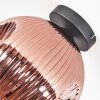 Ripoll ceiling light, globe light coppery, 1-light source